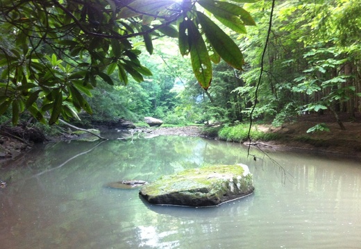 Clifty Wilderness